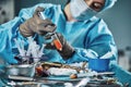 A set of operations for transplanting fat. Assistant surgeon doing the separation of fat before transplantation. Plastic Royalty Free Stock Photo