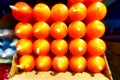 set of orange candles with white wick in a row