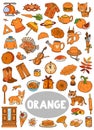 Set of orange color objects. Visual dictionary for children about the basic colors Royalty Free Stock Photo