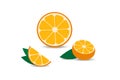 Set of Orange in flat design with shadow. Orange slice, half cut orange and front view of cut ripe orange. Vector illustration