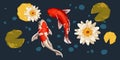 A set of orange koi fish, lily buds and leaves on a blue background with bubbles. Asian set of floating carp, fish Royalty Free Stock Photo