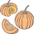 Set of orange pumpkins isolated on transparent background Royalty Free Stock Photo