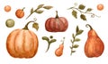 set of orange and red pumpkins of various shapes and other watercolor elements Royalty Free Stock Photo