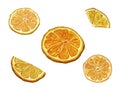 Set of Orange slices, cutting path. Dried orange slice for decoration. Fruit piece, citrus, mandarin, ripe. Watercolor