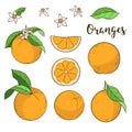 Set with oranges