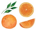 Set of oranges Royalty Free Stock Photo