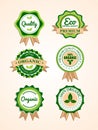 Set of organic badges and labels Royalty Free Stock Photo