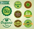 Set of organic badges and labels Royalty Free Stock Photo