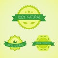 Set of organic badges and labels Royalty Free Stock Photo