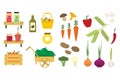 Flat vector set of organic food icons. Fresh vegetables and fruits. Pickled cucumbers and tomatoes. Basket with apples Royalty Free Stock Photo