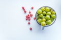 Fresh organic Gooseberries in a metal cup. Fruit background,copy space. Summer berries harvest concept. Vegan Royalty Free Stock Photo