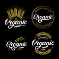 Set of Organic hand written lettering logos, labels, badges or emblems for natural fresh products. Royalty Free Stock Photo