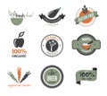 Set of Organic Icons And Stamps Royalty Free Stock Photo