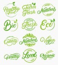 Set of organic, local, fresh, natural, vegan, healthy handwritten lettering logos, labels, emblems.