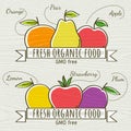 Set of organic vegetable and fruit, vector