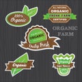 Set of Organic vegetables logo sticker design