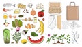 Set of organic waste - fruits, eggshell, vegetables, food leftovers, paper, garden greens. Recycling organic waste. Compost