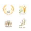 Set of organic wheat grain outline icons. Royalty Free Stock Photo