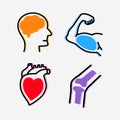 Set of organs design conceptual style, Smart brain, Strong healthy heart, Powerful muscles arm and Strong bone