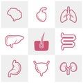 Set of Organs logo concept vector template. Internal Organs Related Vector Line Icons. Contains such Icons as Human anatomy.