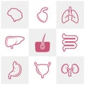 Set of Organs logo concept vector template. Internal Organs Related Vector Line Icons. Contains such Icons as Human anatomy. Royalty Free Stock Photo