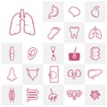 Set of Organs logo concept vector template. Internal Organs Related Vector Line Icons. Contains such Icons as Human anatomy.