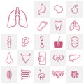 Set of Organs logo concept vector template. Internal Organs Related Vector Line Icons. Contains such Icons as Human anatomy. Royalty Free Stock Photo