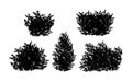 Set of ornamental black plant in the form of a hedge.Realistic garden shrub, seasonal bush, boxwood, tree crown bush Royalty Free Stock Photo