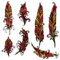 Set of ornamental Feather, tribal design. Ink hand drawn illustration with different indian feathers in red and yellow colors.