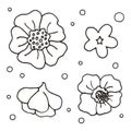 Set of ornamental flowers in line art style. Hand drawn illustrations on white background. Black elegant floral elements
