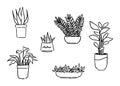 Set of ornamental plants, Living room interior design concept, doodle outline icon. hand-drawn style vector illustration Royalty Free Stock Photo