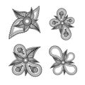 Set of ornate black and white vector floral design elements with Royalty Free Stock Photo