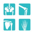 Set of orthopedic and skeleton bones symbols. Vector pelvis, knees, scapula, hand icons. Medical app buttons