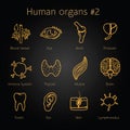 Set of otlines yellow icons with human organs