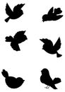 Set outline birds Royalty Free Stock Photo