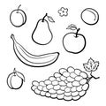 Set of outline black and white vector fruits