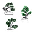 Set of outline bonsai trees with green leaves, vector hand draw illustration