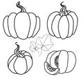 Set of outline cartoon different pumpkins with foliage. Autumn Harvest. Line art treats for Thanksgiving. Vector monochrome