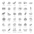 Plant seed vector icon set