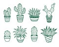 Set of outline dessert cacti. Haworthia, Carnegiea, Sansevieria, Rebutia, Opuntia