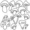 Set of outline doodle mushrooms, coloring page with various types and forms of mushrooms, vector hand draw illustration