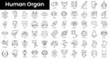 Set of outline human organ icons. Minimalist thin linear web icon set. vector illustration