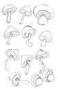 Set of outline mushrooms for design and creativity