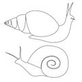 Set of outline snails of various shapes. Objects are separate from the background. Simple contour vector image Royalty Free Stock Photo