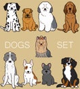 Set of outlined cute and simple dogs sitting in front view