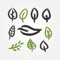 Set of outlines of abstract leaves. Icons drawn with brush. Royalty Free Stock Photo