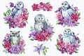 Set of owl and clematis flowers on an isolated white background. Watercolor illustration, Royalty Free Stock Photo