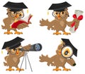 Set owl Royalty Free Stock Photo