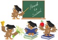 Set Owl teacher. Back to School Royalty Free Stock Photo