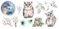 Set of owls, bare trees and moon watercolor illustration isolated on white background. Royalty Free Stock Photo